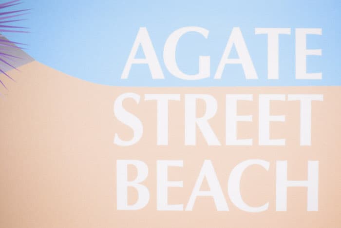 001_Alan_and_Heidi_Agate_Street_Beach_Laguna_Elopement