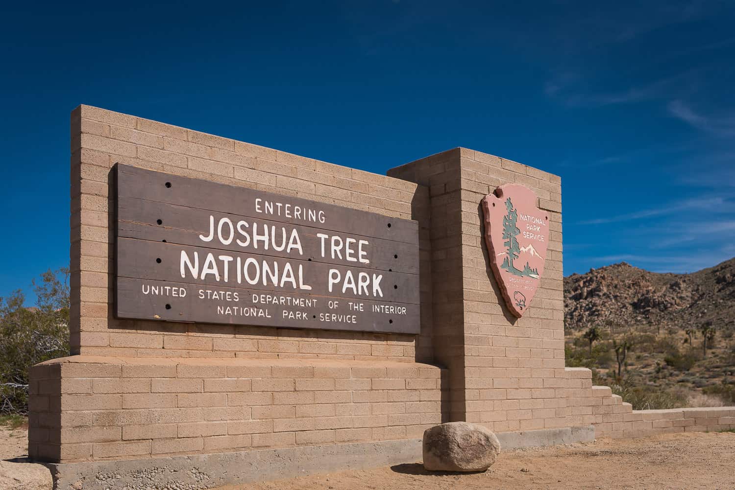Elopement in Joshua Tree National Park