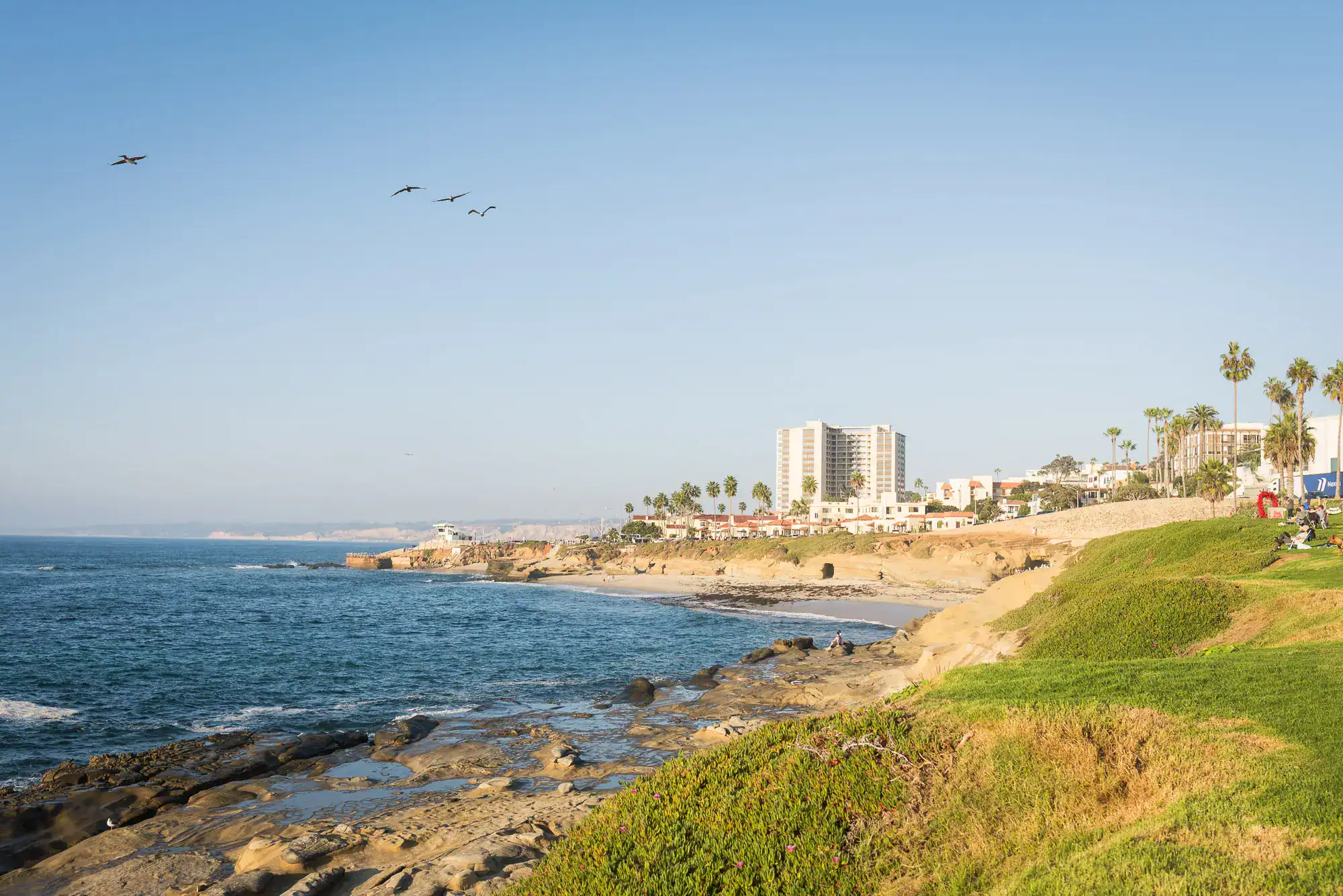 023-A+H-20241010-La-Jolla-Elopement