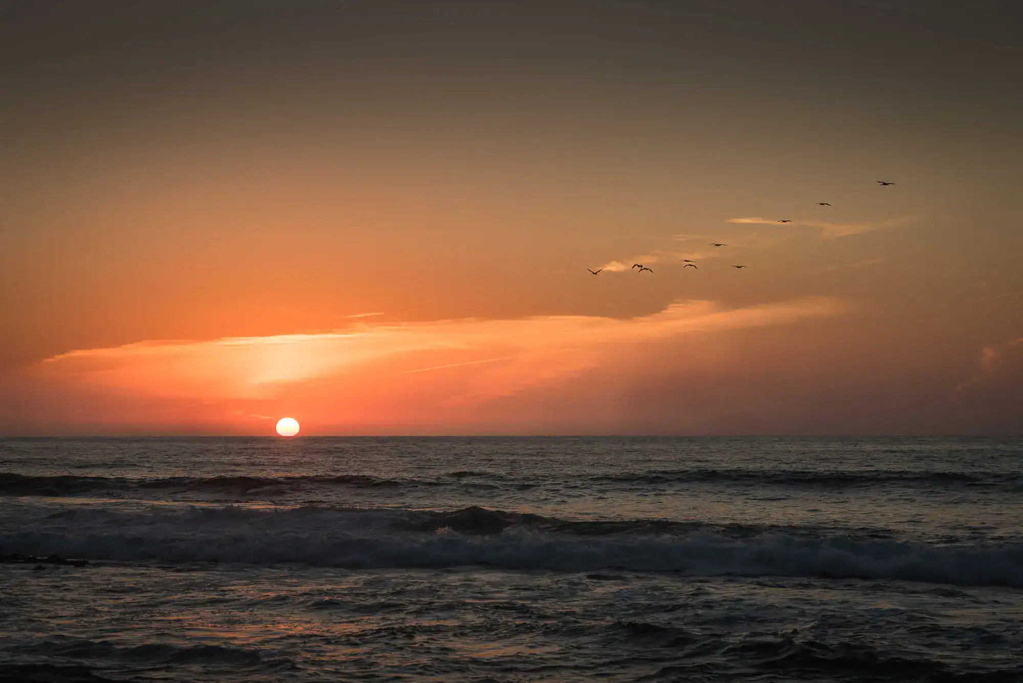 056-A+H-20241010-La-Jolla-Elopement